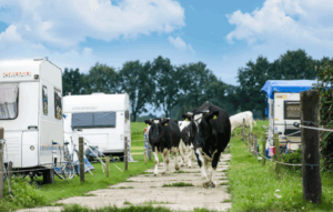 BARGERproat 3 4 BARGERproat 3 4