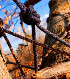 Inhoud basis techniektraining senioren 18+ 1